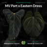 Anthurium MV Port x Eastern Dress