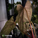 Anthurium papillilaminum 'RLFS' x 'RL' s1