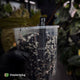 Anthurium (forgetii x pap) x (pap x dress) • variegated