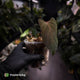Anthurium 'Blood Eagle' • clone