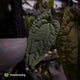 Anthurium 'Michelin Man' x (papillilaminum x luxurians)