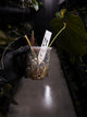 Anthurium #PLUG005 • holdback