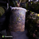 Anthurium 'Hoffx' x (papillilaminum x dressleri) • XXL mother plant clone
