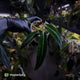 Anthurium warocqueanum dark form