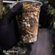 Anthurium 'Magma' • select clone