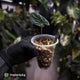 Anthurium papillilaminum 'MDB' x 'RA8' • select clone