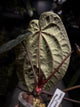 Anthurium 'Dark Magnificum' x 'Bloodmoon'