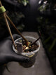 Anthurium #PLUG005 • holdback