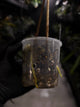 Anthurium #PLUG005 • holdback