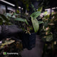 Anthurium portillae 'Dorito' s2