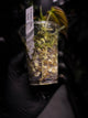 Philodendron micans • variegated