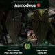 Anthurium #Asmodeus - #TwinPhoenix x (pap x dress)