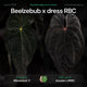 Anthurium Beelzebub x dress RBC • germinated seeds