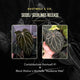 Anthurium carlablackiae x ('Black Widow' x 'Michelle)