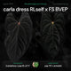 Anthurium (carla dress x pap 'RL' s1) x (pap 'FS' x antolakii)
