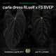 Anthurium [(carla x dress) x pap 'RL'] x [pap 'FS' x antolakii]