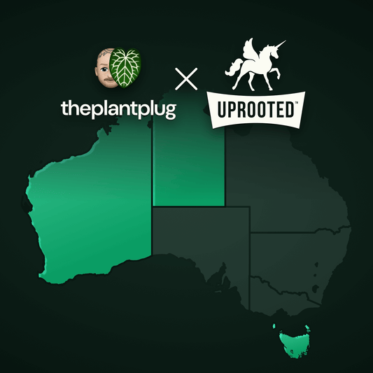 Plant Concierge for NT, TAS, WA