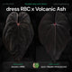 Anthurium dress RBC x Volcanic Ash • germinated seeds