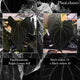 Anthurium papillilaminum 'RL' s1 x ('Black Widow')