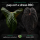 Anthurium pap och x dress RBC • germinated seeds