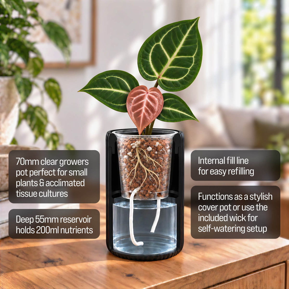VIBE • Self-Watering Planter