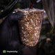 Anthurium 'Deadpool' • mother plant clone