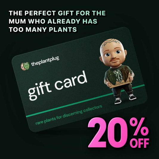 The Plant Plug Gift Card