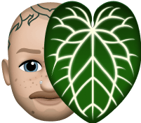 The Plant Plug